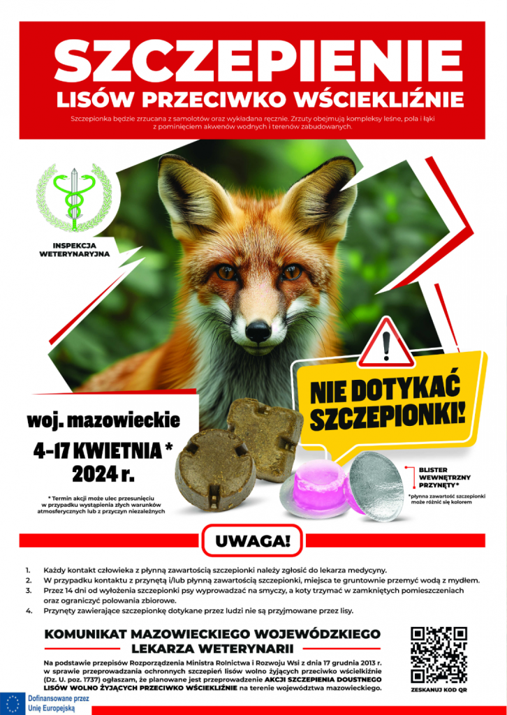 Grafika przedstawiająca lisa z tekstem: SZCZEPIENIE LISÓW PRZECIWKO WŚCIEKLIŹNIE Szczepionka będzie zrzucana z samolotów oraz wykładana ręcznie. Zrzuty obejmują kompleksy leśne, pola i łąki z pominięciem akwenów wodnych i terenów zabudowanych. INSPEKCJA WETERYNARYJNA woj. mazowieckie 4-17 KWIETNIA* 2024 r. *Termin akcji może ulec przesunięciu w przypadku wystąpienia złych warunków atmosferycznych lub z przyczyn niezależnych NIE DOTYKAĆ SZCZEPIONKI! BLISTER WEWNĘTRZNY PRZYNĘTY* *płynna zawartość szczepionki może różnić się kolorem UWAGA! Każdy kontakt człowieka z płynną zawartością szczepionki należy zgłosić do lekarza medycyny. W przypadku kontaktu z przynętą i/lub płynną zawartością szczepionki, miejsca te gruntownie przemyć wodą z mydłem. Przez 14 dni od wyłożenia szczepionki psy wyprowadzać na smyczy, a koty trzymać w zamkniętych pomieszczeniach oraz ograniczyć polowania zbiorowe. Przynęty zawierające szczepionkę dotykane przez ludzi nie są przyjmowane przez lisy. KOMUNIKAT MAZOWIECKIEGO WOJEWÓDZKIEGO LEKARZA WETERYNARII Na podstawie przepisów Rozporządzenia Ministra Rolnictwa i Rozwoju Wsi z dnia 17 grudnia 2013 r. w sprawie przeprowadzania ochronnych szczepień lisów wolno żyjących przeciwko wścielkiźnie (Dz. U. poz. 1737) ogłaszam, że planowane jest przeprowadzenie AKCJI SZCZEPIENIA DOUSTNEGO LISÓW WOLNO ŻYJĄCYCH PRZECIWKO WŚCIEKLIŹNIE na terenie województwa mazowieckiego.