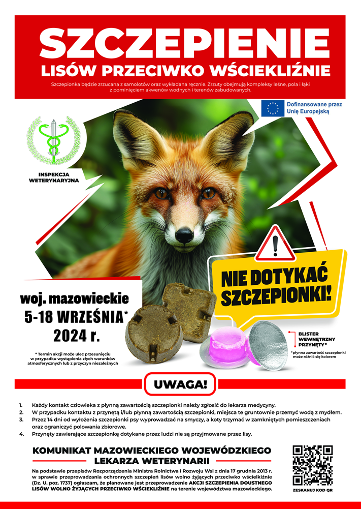 Grafika przedstawiająca lisa z tekstem:   SZCZEPIENIE LISÓW PRZECIWKO WŚCIEKLIŹNIE Szczepionka będzie zrzucana z samolotów oraz wykładana ręcznie. Zrzuty obejmują kompleksy leśne, pola i łąki z pominięciem akwenów wodnych i terenów zabudowanych. INSPEKCJA WETERYNARYJNA Dofinansowane przez Unię Europejską woj. mazowieckie 5-18 WRZEŚNIA 2024 r. Termin akcji może ulec przesunięciu w przypadku wystąpienia złych warunków atmosferycznych lub z przyczyn niezależnych NIE DOTYKAĆ SZCZEPIONKI! BLISTER WEWNĘTRZNY PRZYNĘTY* *płynna zawartość szczepionki może różnić się kolorem UWAGA! Każdy kontakt człowieka z płynną zawartością szczepionki należy zgłosić do lekarza medycyny. W przypadku kontaktu z przynętą i/lub płynną zawartością szczepionki, miejsca te gruntownie przemyć wodą z mydłem. Przez 14 dni od wyłożenia szczepionki psy wyprowadzać na smyczy, koty trzymać w  zamkniętych pomieszczeniach oraz ograniczyć polowania zbiorowe. Przynęty zawierające szczepionkę dotykane przez ludzi nie są przyjmowane przez lisy. KOMUNIKAT MAZOWIECKIEGO WOJEWÓDZKIEGO LEKARZA WETERYNARII Na podstawie przepisów Rozporządzenia Ministra Rolnictwa i Rozwoju Wsi z dnia 17 grudnia 2013 r. w sprawie przeprowadzania ochronnych szczepień lisów wolno żyjących przeciwko wścielkiźnie (Dz. U. poz. 1737) ogłaszam, że planowane jest przeprowadzenie AKCJI SZCZEPIENIA DOUSTNEGO LISÓW WOLNO ŻYJĄCYCH PRZECIWKO WŚCIEKLIŹNIE na terenie województwa mazowieckiego.