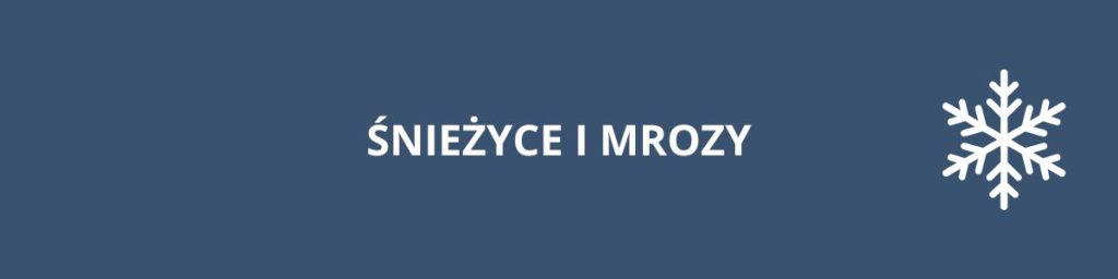 Śnieżyce i mrozy