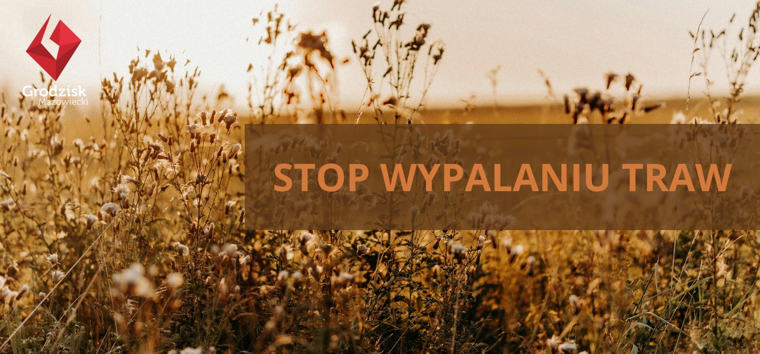 Wysokie trawy oświetlone promieniami zachodzącego słońca, napis: Stop wypalaniu traw