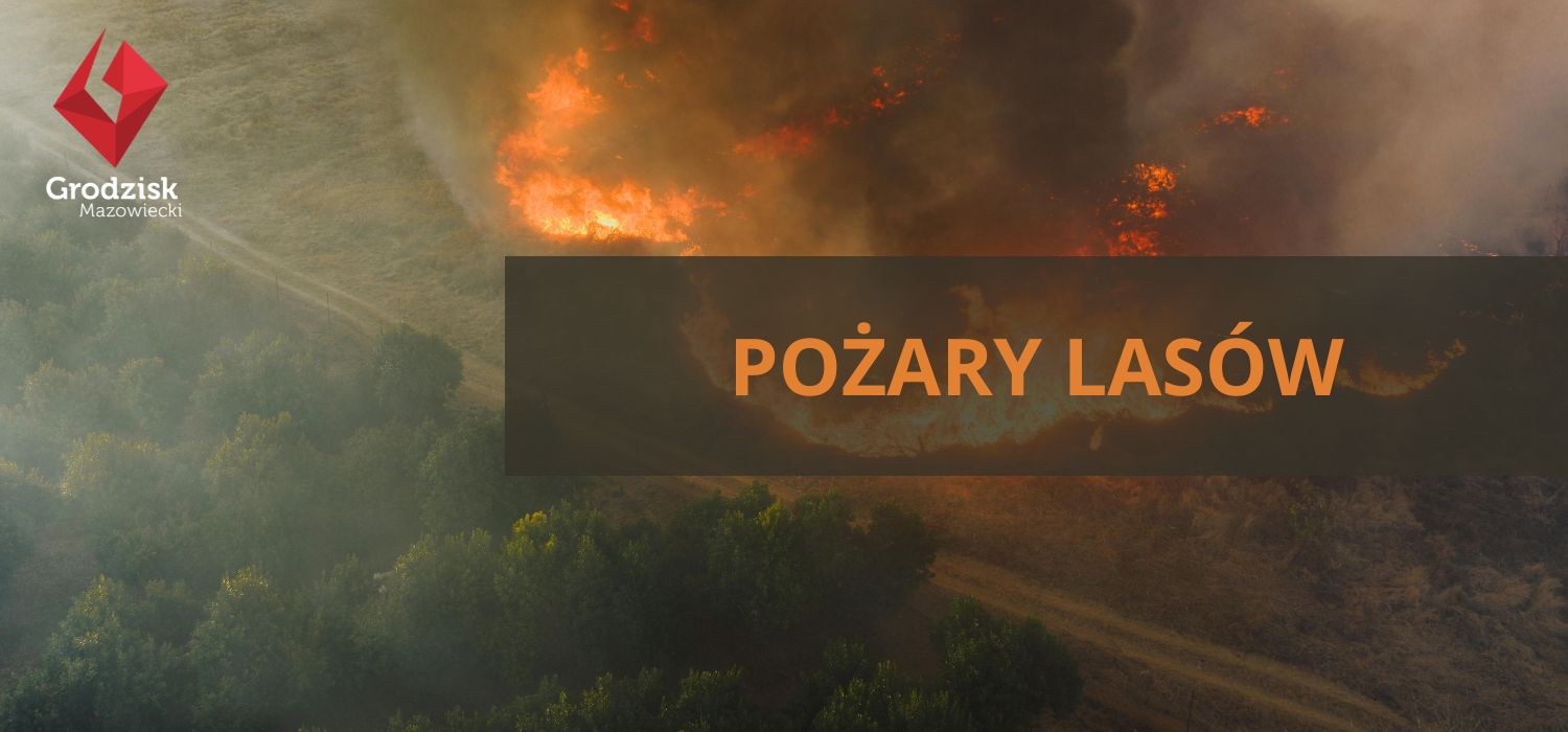 Pożary lasów