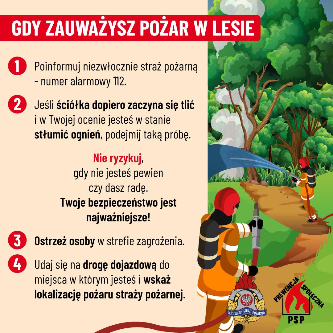 Na grafice przedstawiono instrukcję postępowania, gdy zauważysz pożar w lesie. Po lewej stronie zapisano cztery kroki: natychmiast powiadom straż pożarną pod numerem 112, spróbuj ugasić dopiero zaczynający się pożar tylko wtedy, gdy jest to bezpieczne, ostrzeż osoby znajdujące się w strefie zagrożenia oraz udaj się na drogę dojazdową i wskaż strażakom lokalizację pożaru. Po prawej stronie widoczna jest ilustracja strażaków gaszących ogień w lesie.